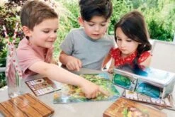 HABA 304839 Find The Code! Pirateninsel! -Haba 13594739 03